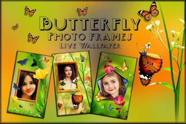 Butterfly Photo Frames LWP screenshot 2
