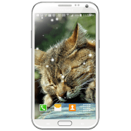 music Player tuyết Wallpaper icon