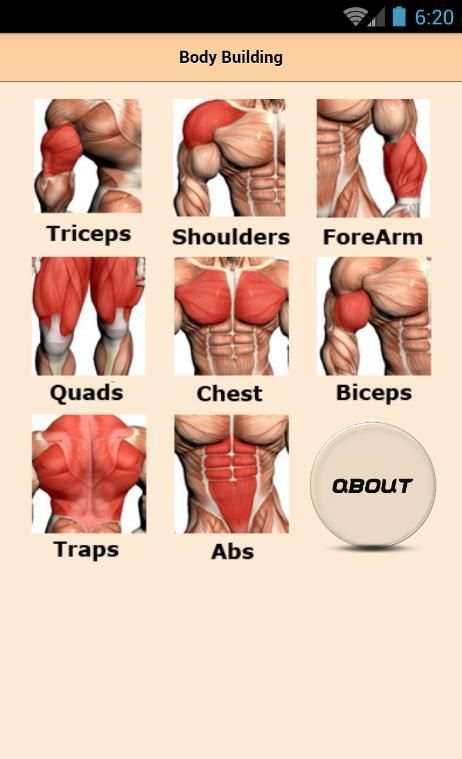 Body Building скриншот 4