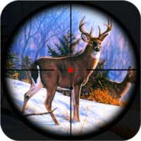 بري ريال الصيد في أدغال