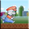 Mario Rabbit Run