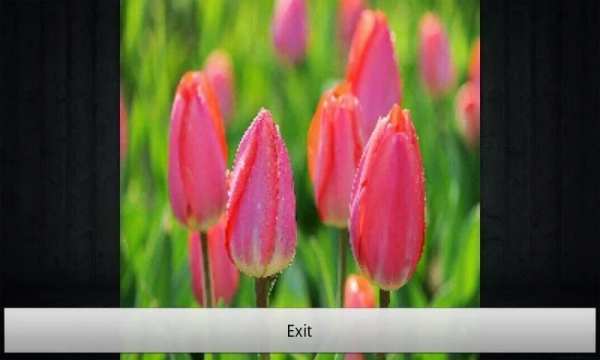 Photo Slideshow Maker 1 تصوير الشاشة