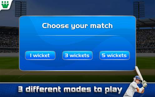 Ultimate Turbo Cricket screenshot 3