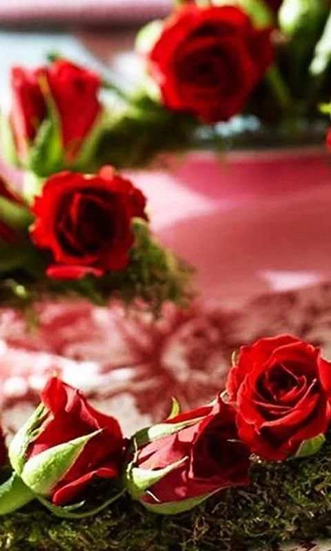 Valentine Roses live wallpaper स्क्रीनशॉट 4