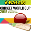 Cricket 6 Balls icon