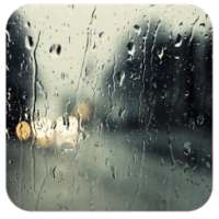 Rain II 91 Launcher Theme on 9Apps