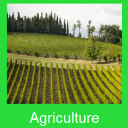 Agriculture Info أيقونة