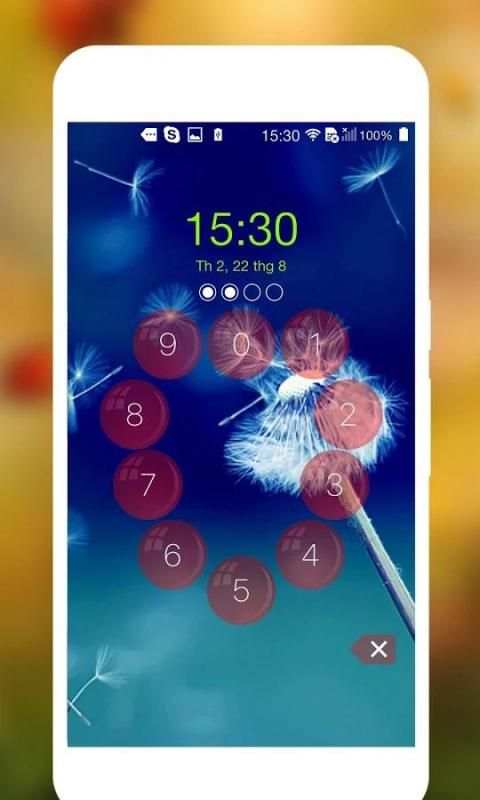 lock screen keypad screenshot 4