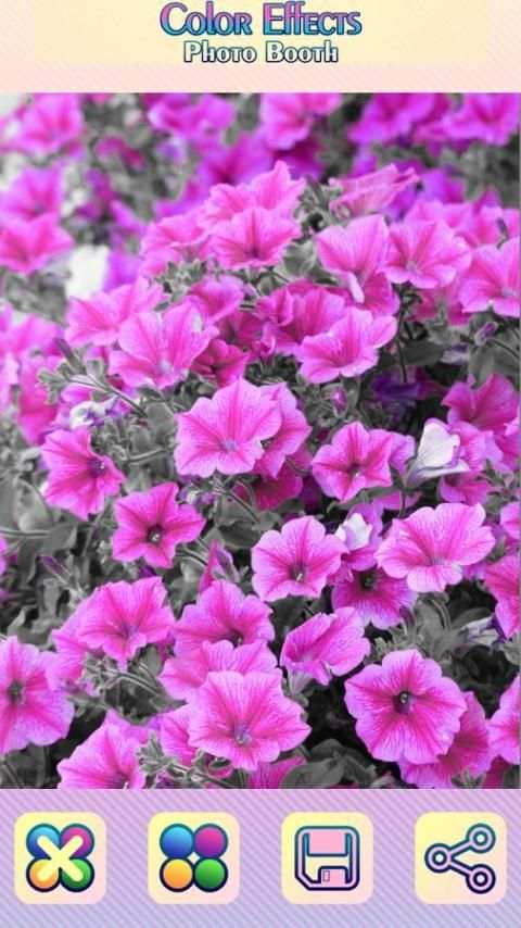 Efek Warna Foto Stan screenshot 6
