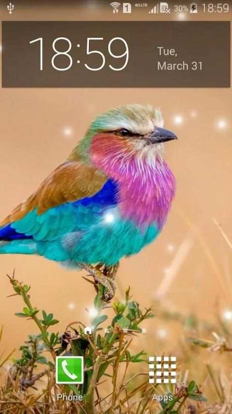 Spring Birds Live Wallpaper screenshot 3