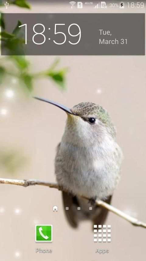 Spring Birds Live Wallpaper 4 تصوير الشاشة