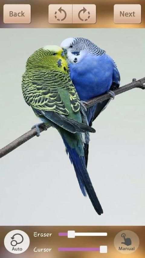 Auto Photo Background Changer 2 تصوير الشاشة