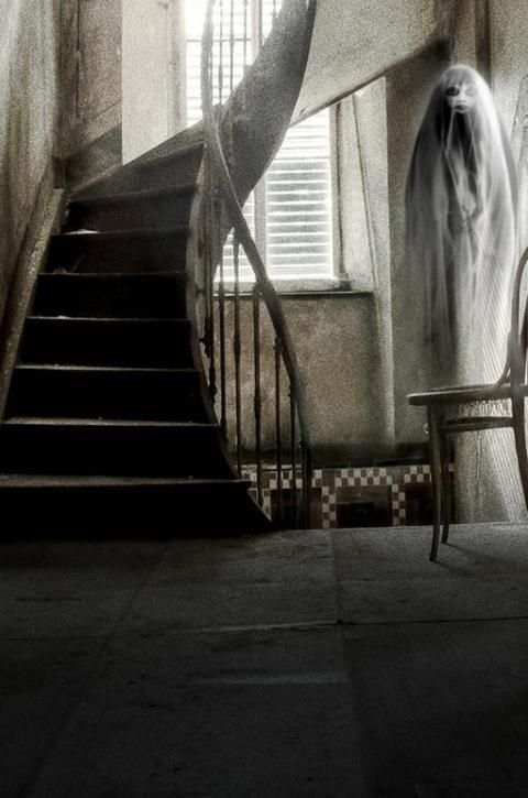 Camera Ghost Simulation 2 تصوير الشاشة