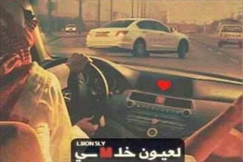 هجولة مع اغاني 2016 screenshot 1
