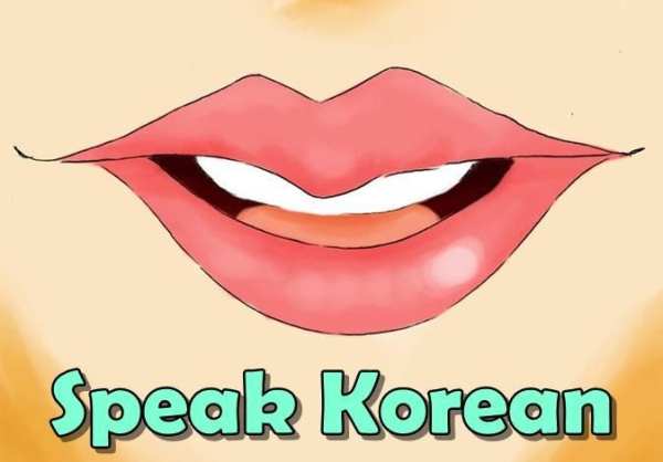 How to Speak Korean Daily screenshot 1