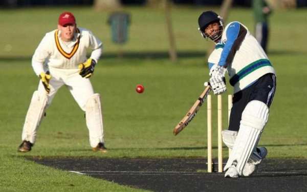 Best Cricket Games for Mobiles screenshot 2
