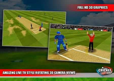 Cricket play 3D screenshot 2