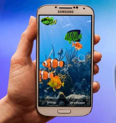 FISH LIVE WALLPAPER 2016 स्क्रीनशॉट 2