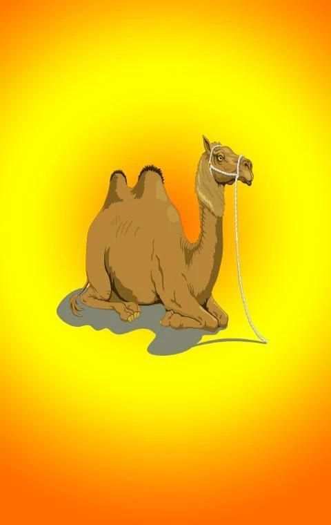 Mufrodat Arab Sehari Hari screenshot 1