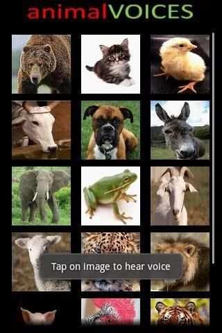 Animal Voices for Toddlers screenshot 4