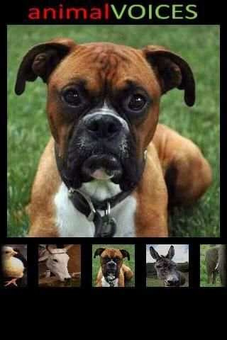Animal Voices for Toddlers screenshot 1