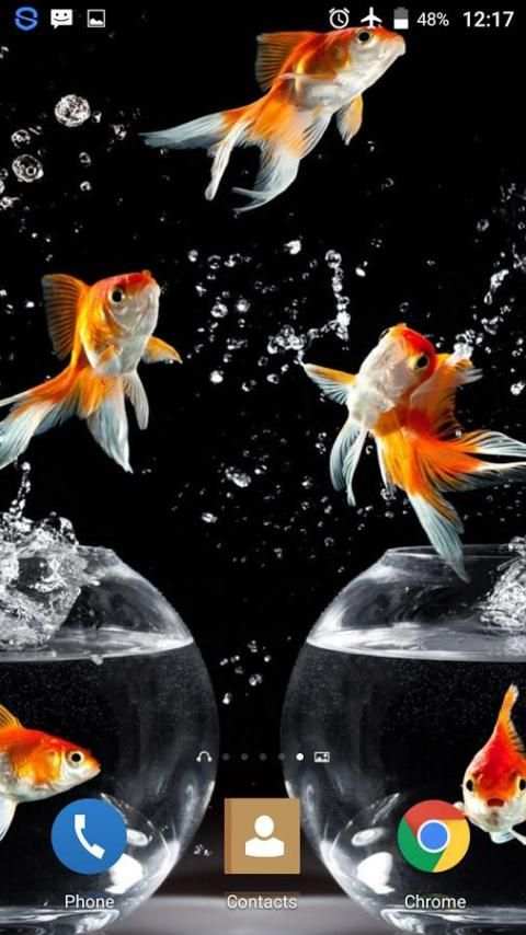 Goldfish HD Live Wallpaper screenshot 4