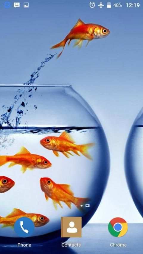 Goldfish HD Live Wallpaper screenshot 7
