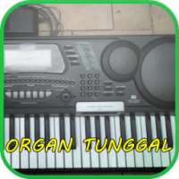 Dangdut Organ Tunggal Pesona on 9Apps