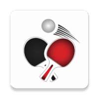 Table Tennis Match