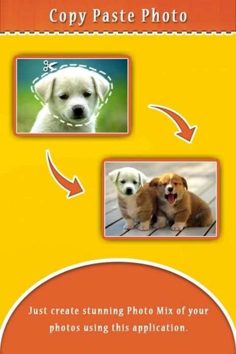 Copy Paste Photo screenshot 7