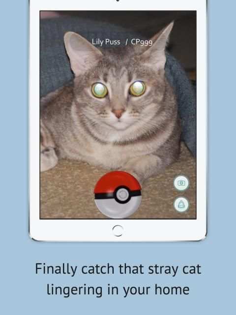 PokeCam: Pokémon GO Camera screenshot 2