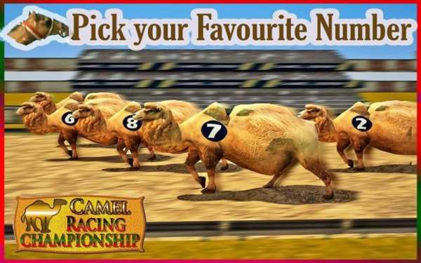 Camel Racing Championship screenshot 8