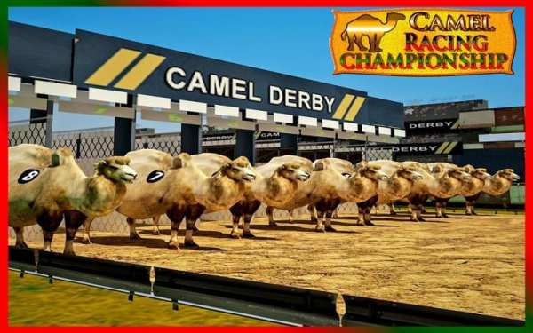 Camel Racing Championship screenshot 7