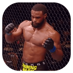 Action: WWE VS UFC Warriors आइकन