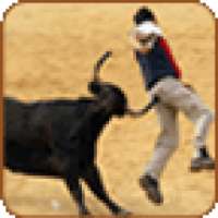 Bull Fight on 9Apps