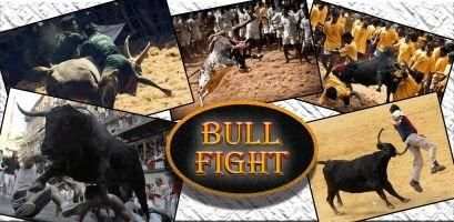Bull Fight скриншот 1