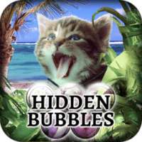 Hidden Bubbles: Cats Island