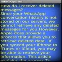 WhatsApp World screenshot 1