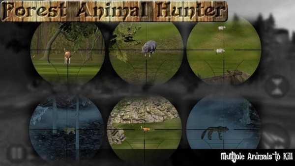 Wild Animal Hunting 3D 1 تصوير الشاشة
