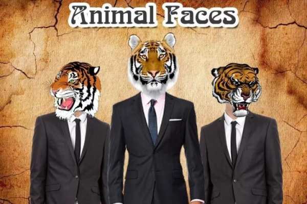 Animal Faces स्क्रीनशॉट 1
