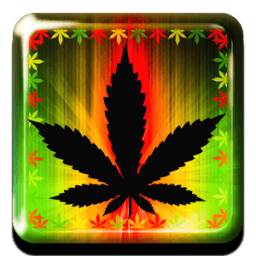 Rasta Style Keyboard 1.2