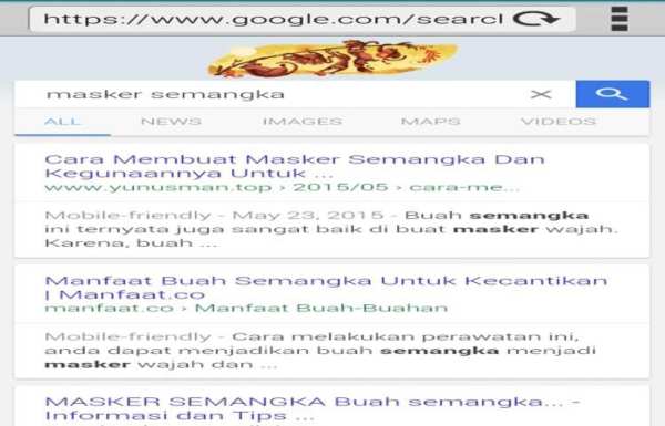 IFMBrowser screenshot 2