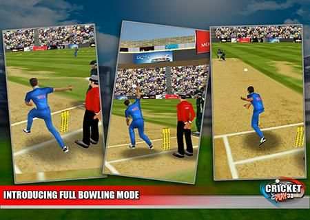 Cricket play 3D screenshot 3