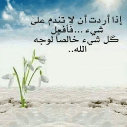 كل يوم حكمه تهمك أيقونة