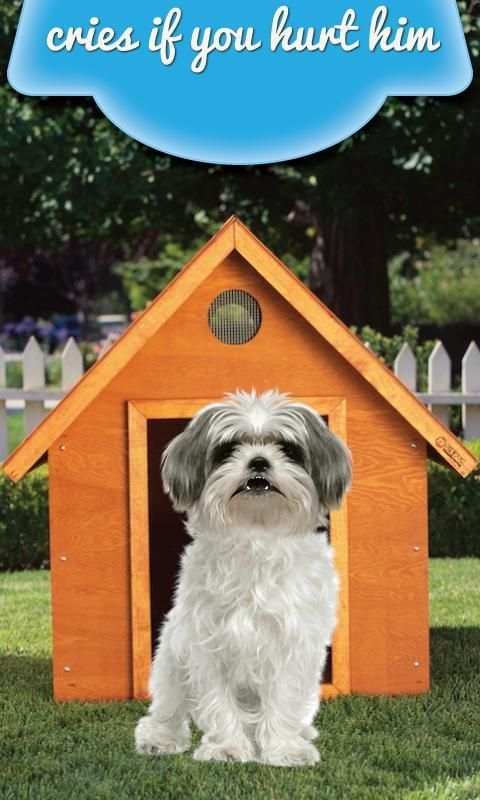 Real Talking Puppy screenshot 1