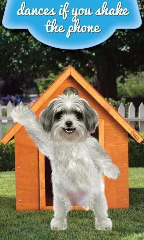 Real Talking Puppy screenshot 2