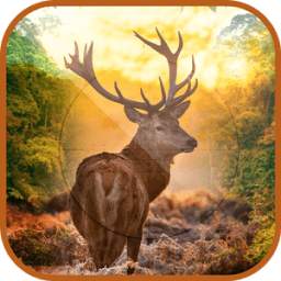3D Ultimate Deer Hunter