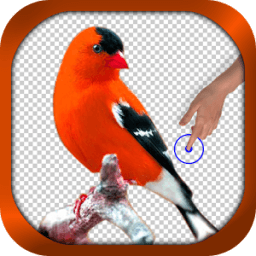 Background Changer icon