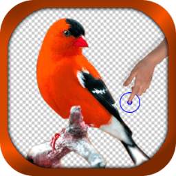 Background Changer 1.0