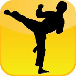 Kung Fu Legend 1.65